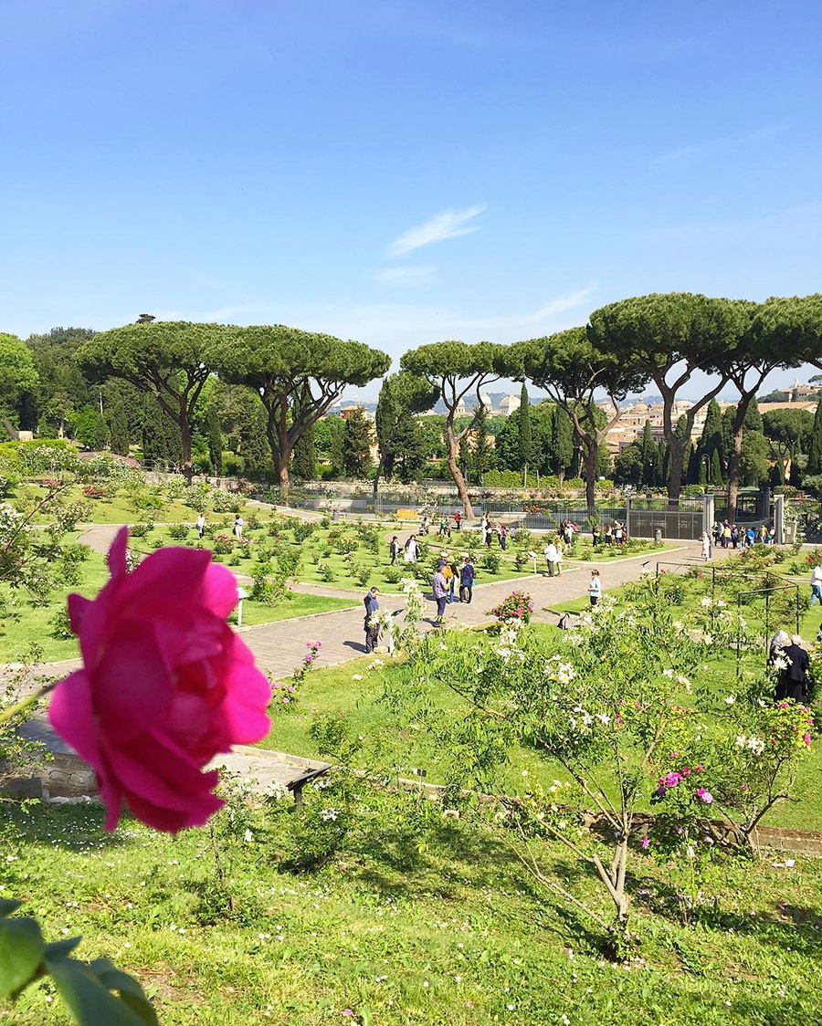 Giardino delle rose in Rome