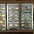 Bakery in Rome: More Pastries