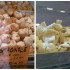Carnevale Treats: Castagnole and Frappe
