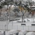Snow in Rome 2012: Covered in Snow