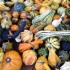 Easy_Pumpkin_Soup_Autumn Easy Pumpkin Soup - Perfect for autumn