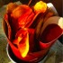 Open_Place_to_Eat_in_Rome_Food_Chips Open Places to Eat in Rome - Open Baladin - Chips