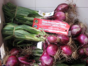 Tropea Red Onions