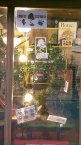 Bonsai shop on Via dei Coronari, Rome, Italy