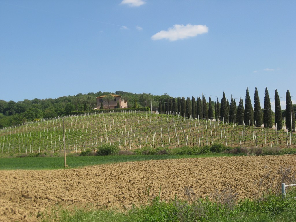 Bed and Breakfast in Montepulciana-Casa Di Bacco-View from road