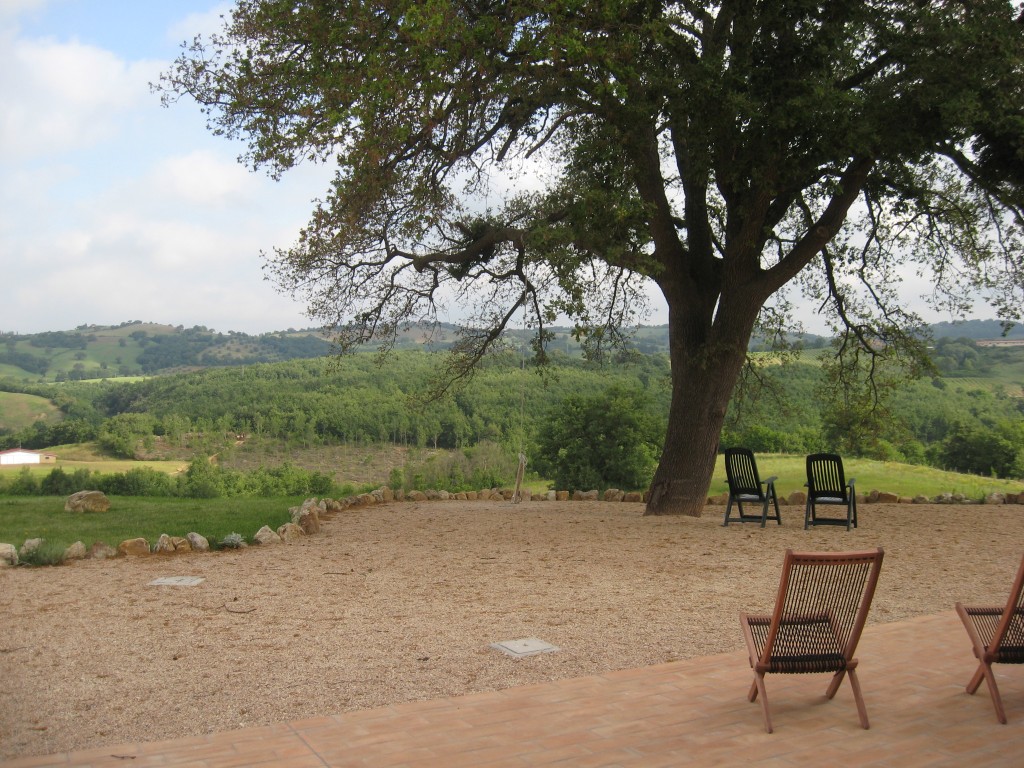 Bed and Breakfast in Maremma: In front of the apartment