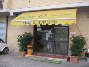 Lazio Region - Mozzarella di Bufala store