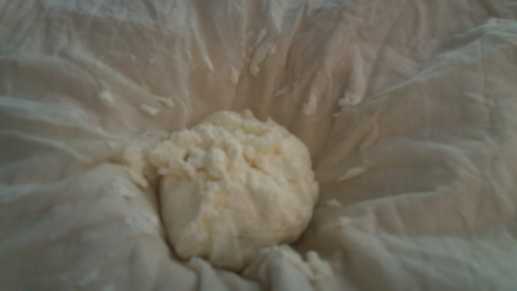 Homemade Ricotta - Squeeze Out The Whey