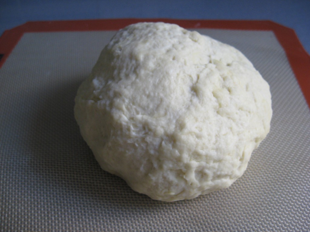 Piadina: Italian Flatbread - Homogenous Dough