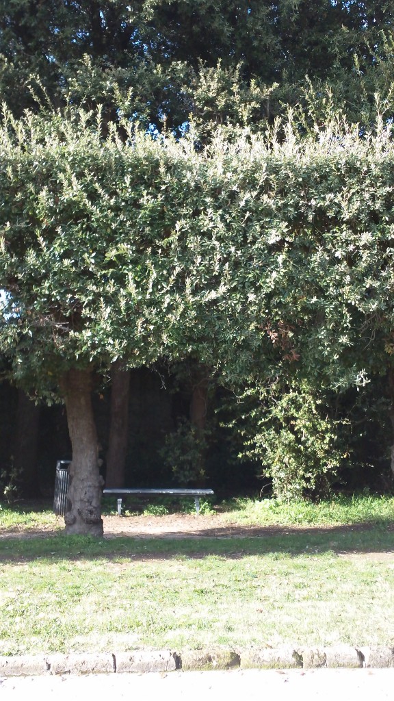 A day trip from Rome: Shaded benches in the garden of the Palace