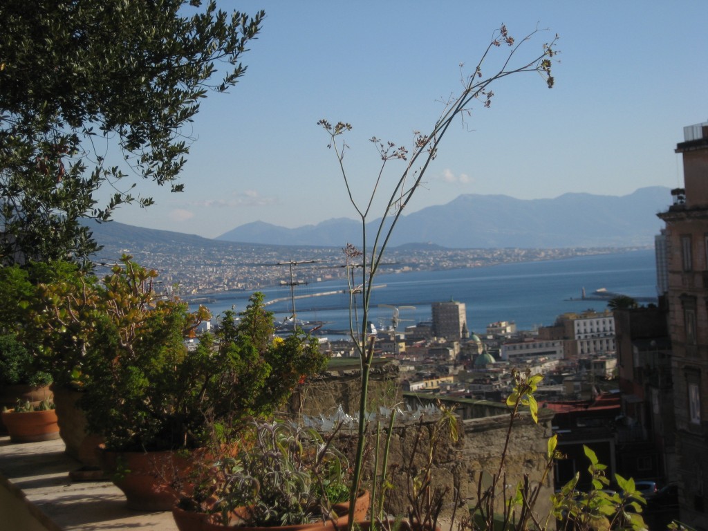 Family lunch in Naples: View from the terrace