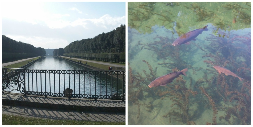 Palace of Caserta: Stretch before the Fountain of the Dolphins