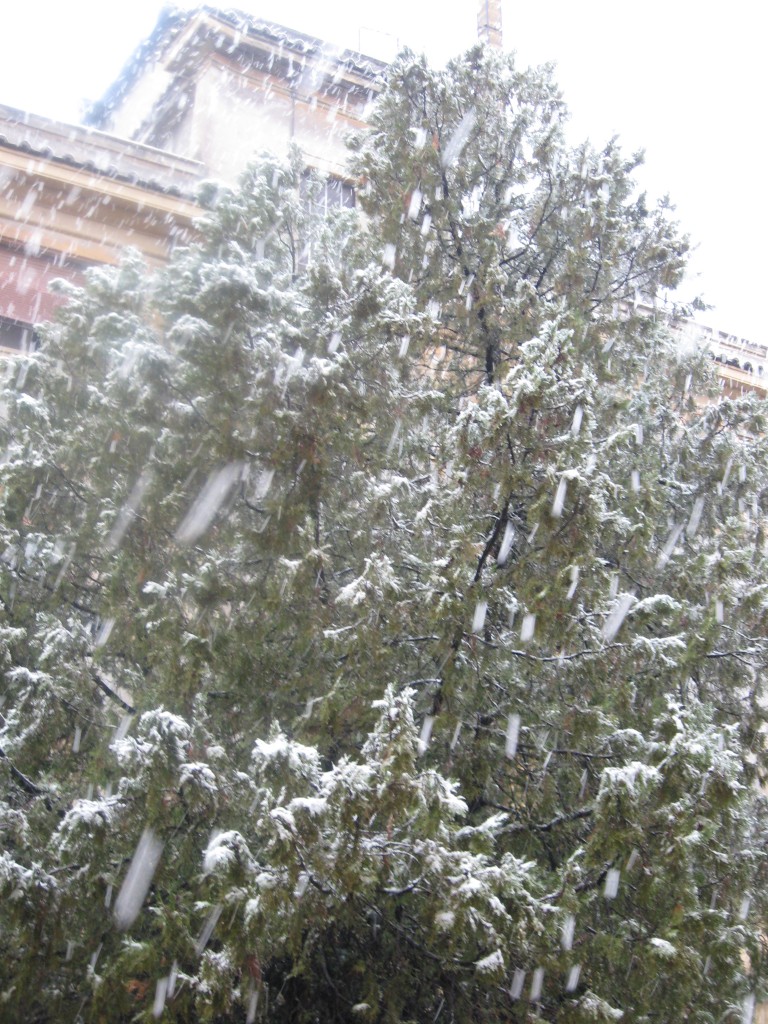 Snow in Rome 2012: It's Snowing