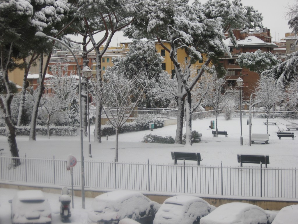 Snow in Rome 2012: Covered in Snow