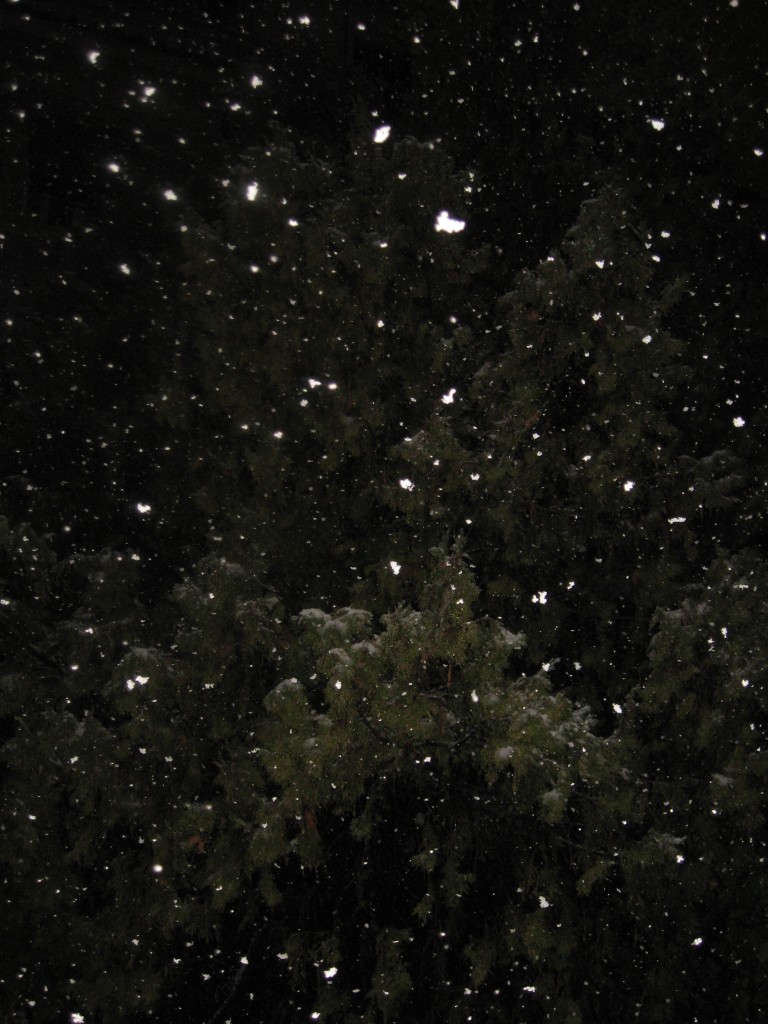 More Snow in Rome: Snowing Now at Night