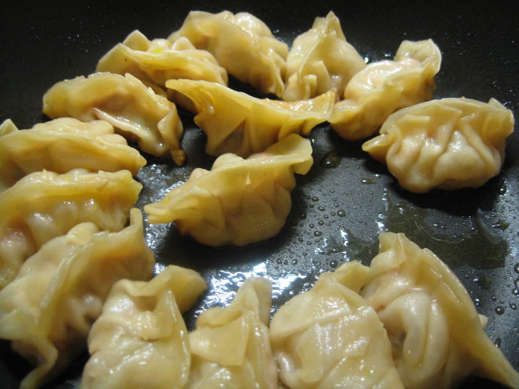 Chinese Dumplings