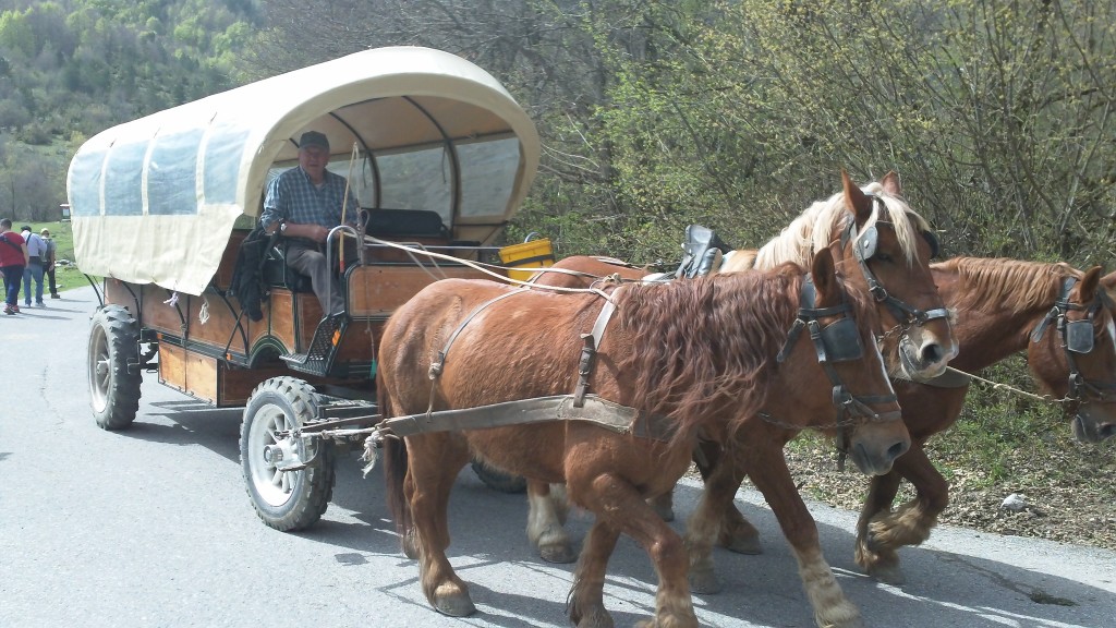 Abruzzo National Park: Wagon