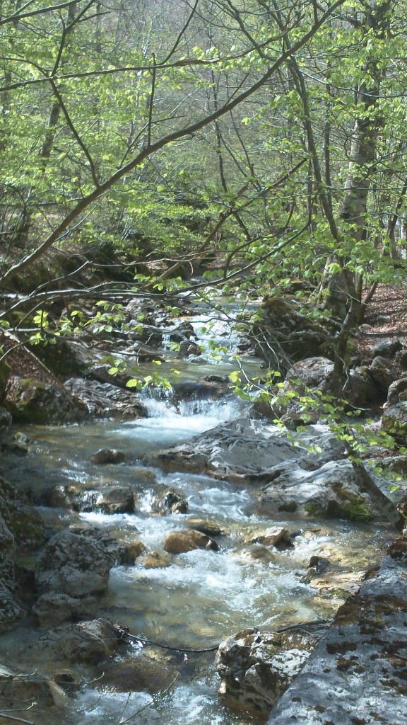 Abruzzo National Park: Beautiful