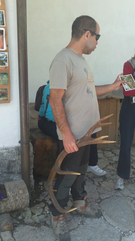 Abruzzo National Park: Antlers