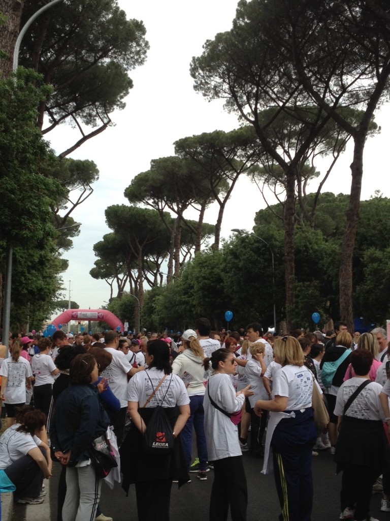 Race for the Cure in Rome 2012 - Turnout