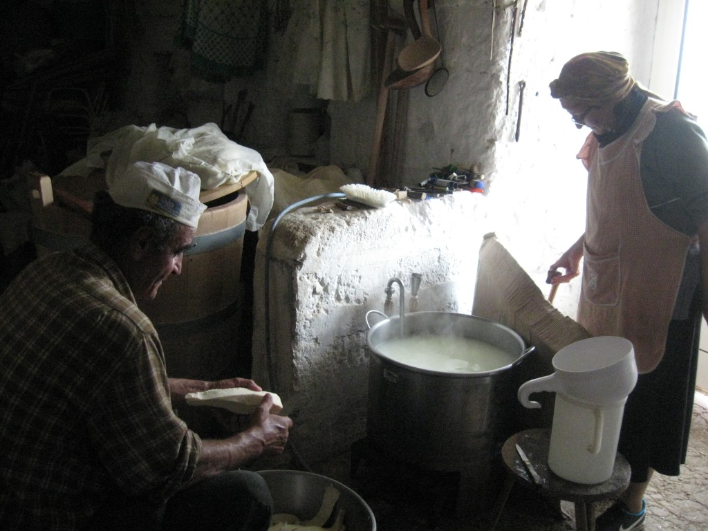 Matera Italy: Shepherd making cheese