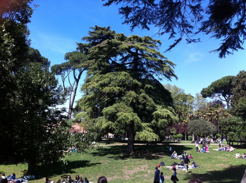 Hottest June in Rome Italy - Parks - Weekends at Villa Celimontana