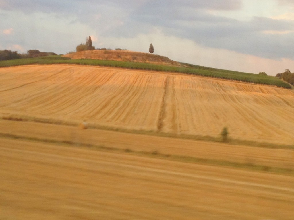 Train from Rome to Florence - View of Hills