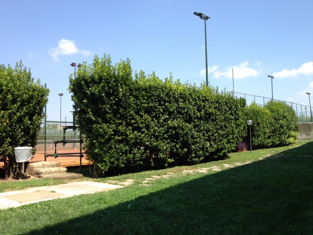 Summer in Rome - Club - Tennis Courts