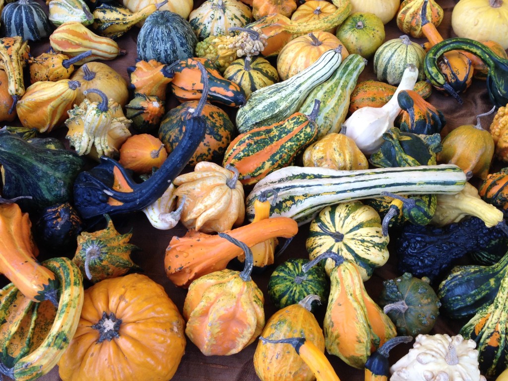 Easy Pumpkin Soup - Perfect for autumn