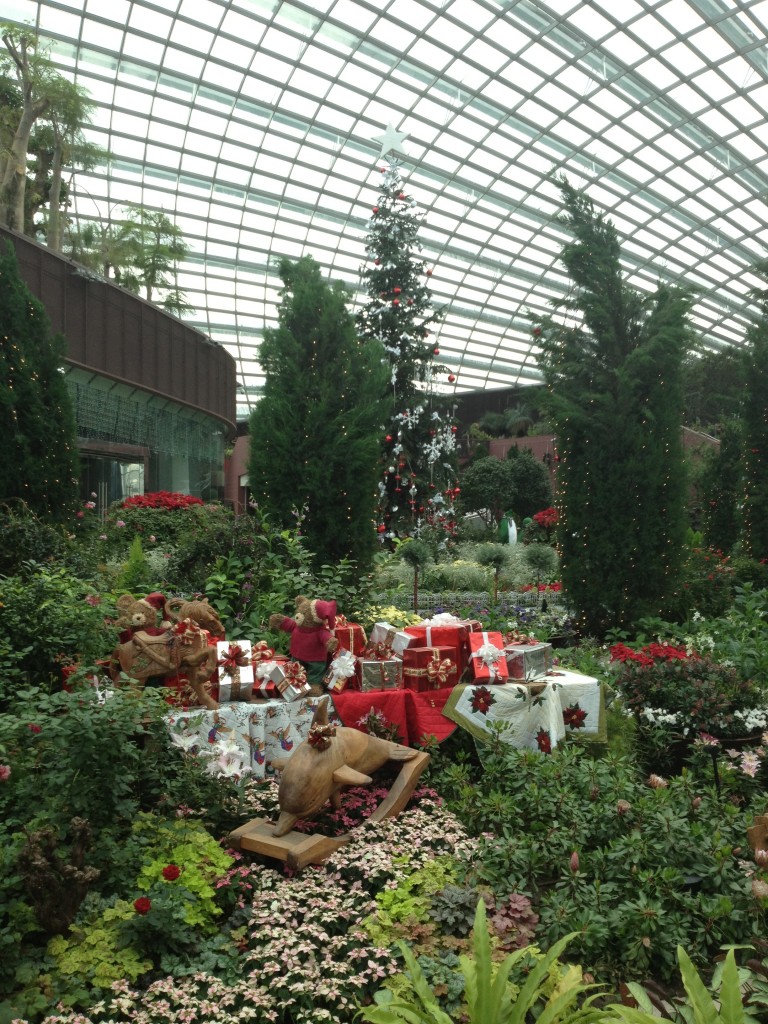 Festive Holiday Display at Garden By The Bay - Singapore