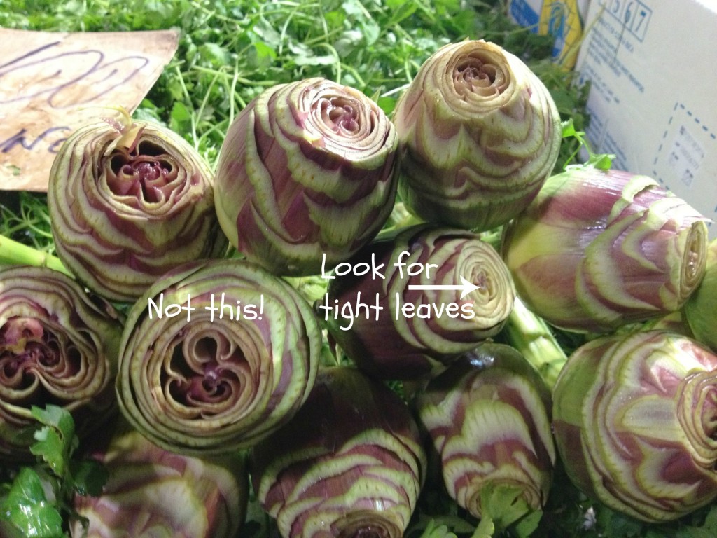 How to pick artichokes - Rome Food Tour with Tavole Romane