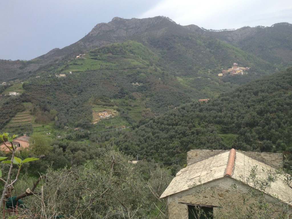 Views while driving to Cinque Terre, Italy