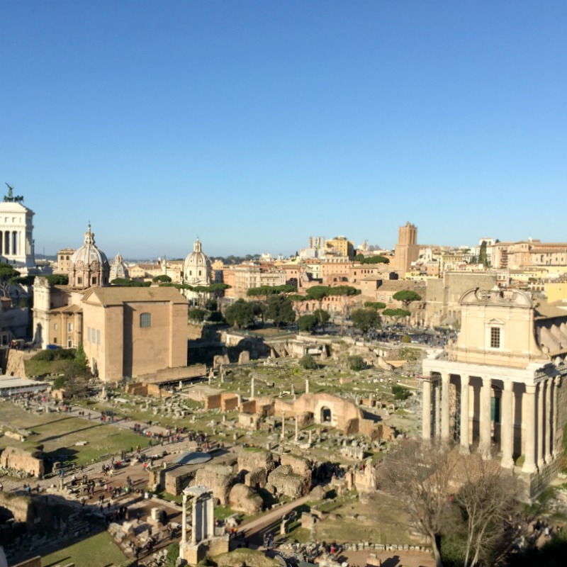 View of the Roman Forum from the Palatine Hill | 15 Must-Visit Places on Your First Trip to Rome | BrowsingRome.com